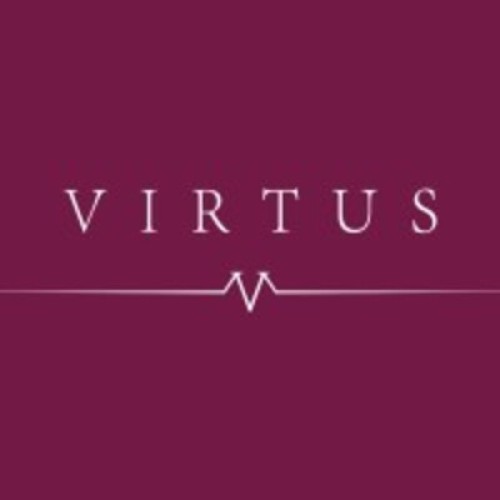 Virtus Informatics Company W. L.L